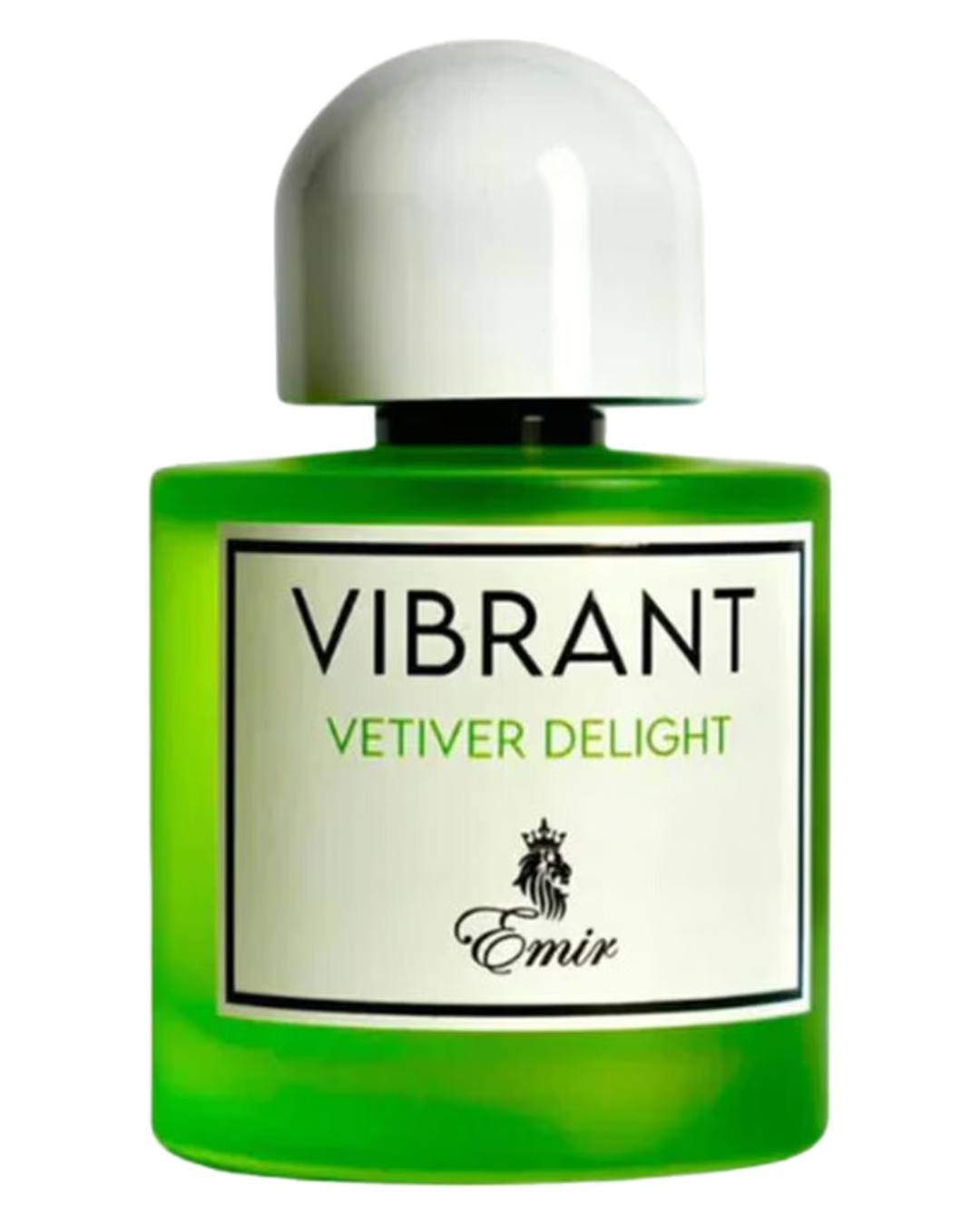 Paris Corner Emir Vibrant Vetiver Delight 100ml EDP for Men & Women